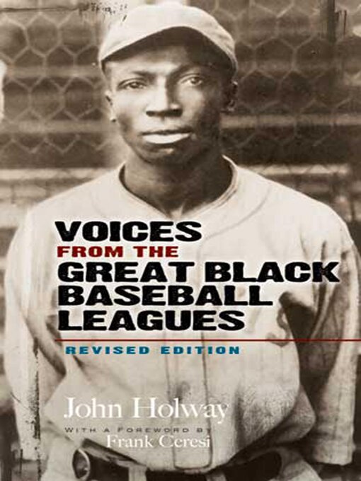 Cover image for Voices from the Great Black Baseball Leagues